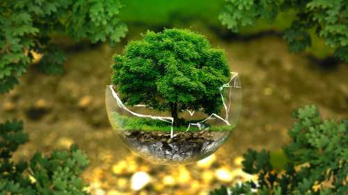 dummy_umwelt_environmental-protection-326923__320x213_w500px.jpg
