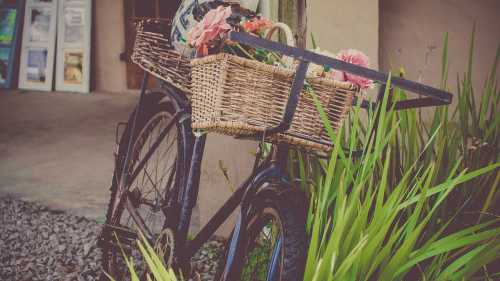 dummy_besuch_begleitung_bicycle-1130156__320x213_w500px.jpg